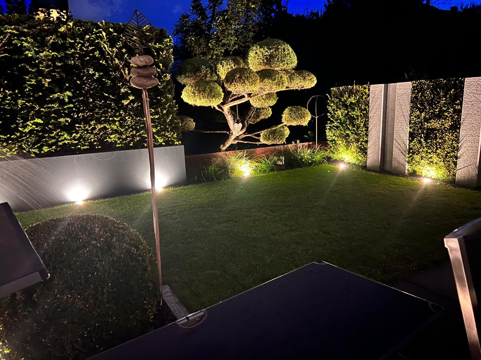 Von Gartenbau Schneider angelegter Garten mit Rasen, Buchsbaumkugeln und Terrasse